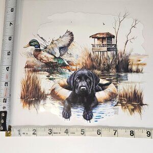 Transfer- Lab puppy, Duck hunting